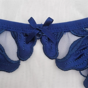 Detail of dark blue lace embroidery with a satin bow on translucent mesh lingerie