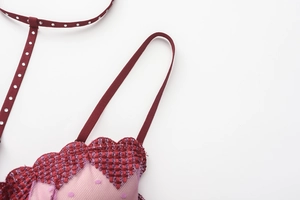Macro detail of wine red embroidered lingerie with mesh fabric and sparkling rhinestones