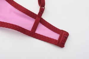 Macro detail of pink mesh lace bra with burgundy straps and fine reinforced stitching