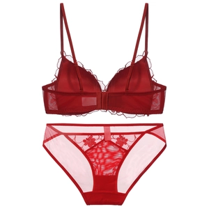 Detailed view of red lace embroidery lingerie set with mesh fabric and floral pattern