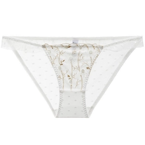 White sheer mesh panties with floral embroidery and polka dots on a white background