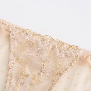 Seamless beige sheer mesh lace panties with floral embroidery and scalloped edges