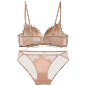 Detail showing apricot lace bra back design with crisscross straps and mesh fabric
