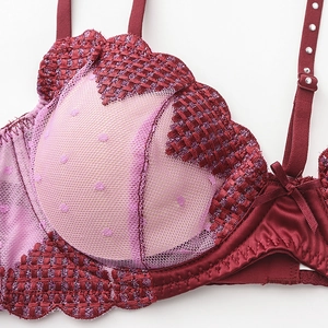 Reggiseno in pizzo con ricamo a cuore e rete a pois in rosso vino e rosa cipria
