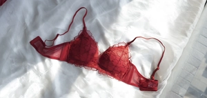 Detail of red floral embroidery on sheer mesh lace bra with adjustable straps