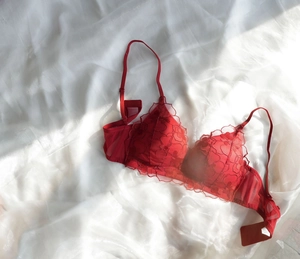 Detail of red floral lace embroidery on triangle cup bra with sheer mesh wings