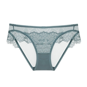 Elegant grey-blue floral lace and mesh panties for women with eyelash lace edges