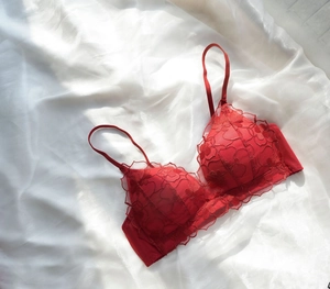 Detailed view of red floral lace embroidery on French style wireless bra set