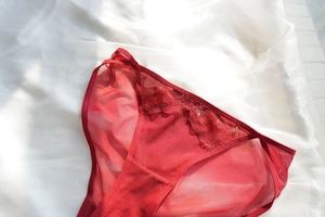 Detail of red floral lace embroidery on semi-transparent mesh triangular underwear