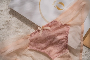 Gros plan d'une culotte française en dentelle et tulle avec petit nœud rose doux