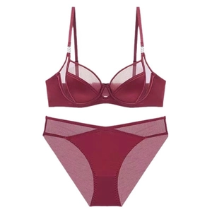 Completo intimo bordeaux con coppe in mesh trasparente e slip abbinati su sfondo bianco