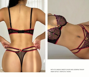 Detail von schwarzem Netz-Lingerie-Set mit roter Blumenstickerei und Spitzenbesatz