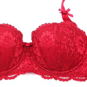 Close-up of floral red lace bra detail with delicate mesh patterns and a cute bow