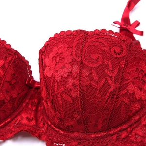 Lace red bra with floral vine patterns and silk bows featuring intricate crochet details