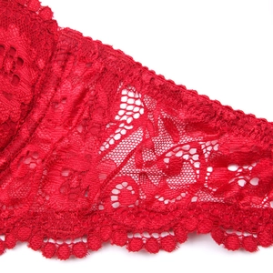 Macro shot of intricate red lace floral embroidery and scalloped hemline detailing