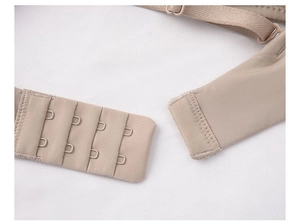 Macro detail of seamless nude bra with adjustable four-row hook back closure and straps