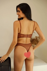 Rückansicht eines Mesh-Spitzen-Dessous-Sets in Karamelbraun mit transparentem BH