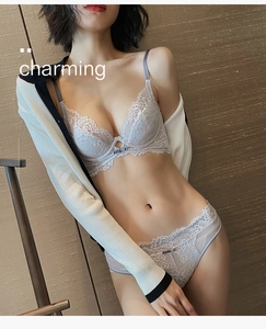Dettagli del set di lingerie in pizzo grigio ricamato con pizzo ciglia e trama a rete