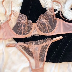 Detail of pink mesh lace bra set with delicate rose embroidery and adjustable straps