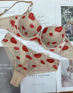 Detail of sheer mesh lingerie set featuring red lip embroidery and scalloped lace trim