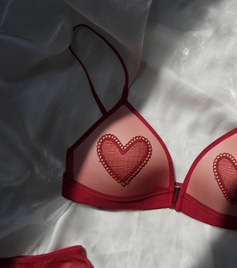 Detail of red heart lace embroidery on sexy triangle cup wireless mesh bra set