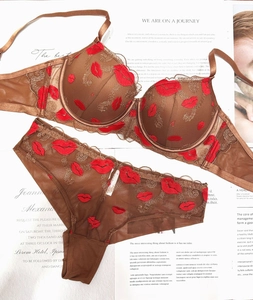 Detailed view of brown lingerie set with red lip embroidery and gold lace accents