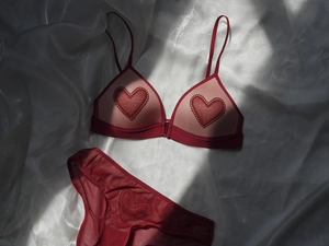 Detalle de sujetador de encaje rojo y bragas de malla con bordado de corazones