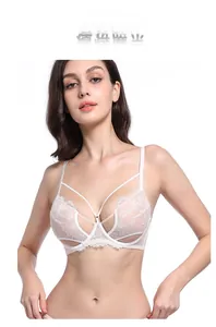 Detailed view of white French lace bra with intricate embroidery and sheer mesh texture