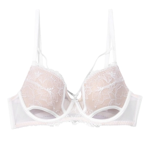 Lace minimizer bra with semi-circular hollow-out design and sheer mesh wings in light white