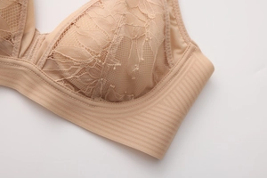 Close-up of nude floral lace embroidery and striped side bands on the bralette