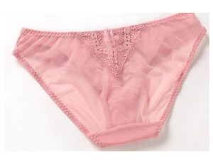 Detail showing sheer pink mesh panties with exquisite lace floral embroidery and wavy edges