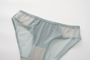Detailed view of light blue sheer mesh panties with floral lace embroidery accents