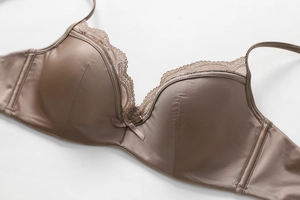 Close-up of brown silk bra featuring scalloped lace trim and a delicate center bow detail