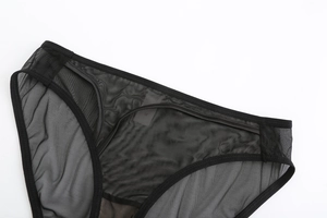 Detail of sheer black mesh panties showing fine stitching and satin trim textures
