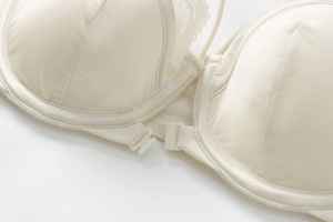 Detailed view of the plastic front buckle closure and delicate lace on the satin bra