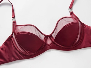 Detail of wine red satin bra with sheer mesh paneling and steel underwire support