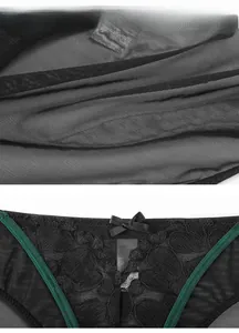 Detail of floral lace embroidery and sheer mesh fabric with a delicate bow accent