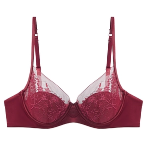 Elegant wine red lace embroidery bra set with floral patterns and sheer mesh details