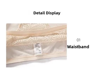 Close-up of beige lace mesh panties showing intricate floral embroidery and fabric detail