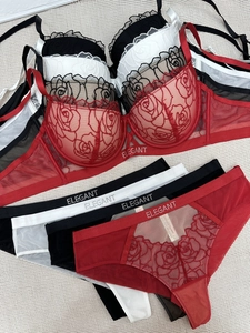 Detail of rose lace embroidery and Elegant logo on the underwired bra and panty set
