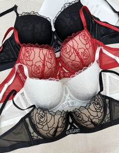 Detail of rose embroidery and Elegant lettered strap on colorful lace lingerie set