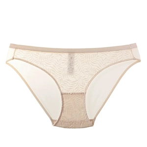 Sexy Lace Panties For Women French Style Ultra-Thin Breathable Low Waist Nylon Briefs With Cotton Crotch Everyday Lingerie