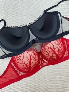 Detail of red rose embroidery and black sheer mesh lace on elegant bra lingerie set