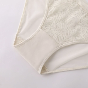 Elegant off-white lace panties for women featuring intricate floral mesh patterns