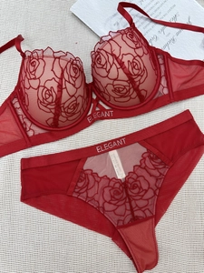 Detail of red lace lingerie set with rose embroidery and elegant rhinestone lettering