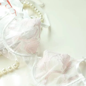 French style white lace bra set with delicate pink rose embroidery and sheer mesh detail