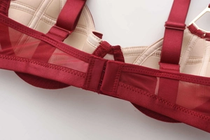 Detail of red mesh bra back closure with adjustable straps and soft skin-toned lining