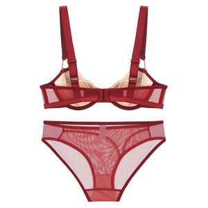 Red sheer mesh lingerie set with wide straps and matching briefs on white background