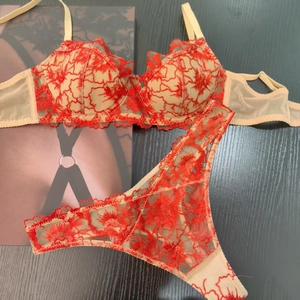 Close-up of red floral lace embroidery and sheer mesh texture on underwired bra