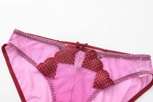 Close-up of pink heart embroidery and mesh texture on these French style panties